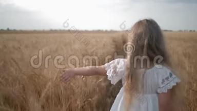 快乐的孩子在田野里，小女孩走过成熟的黄色谷物草地，用手摸麦子